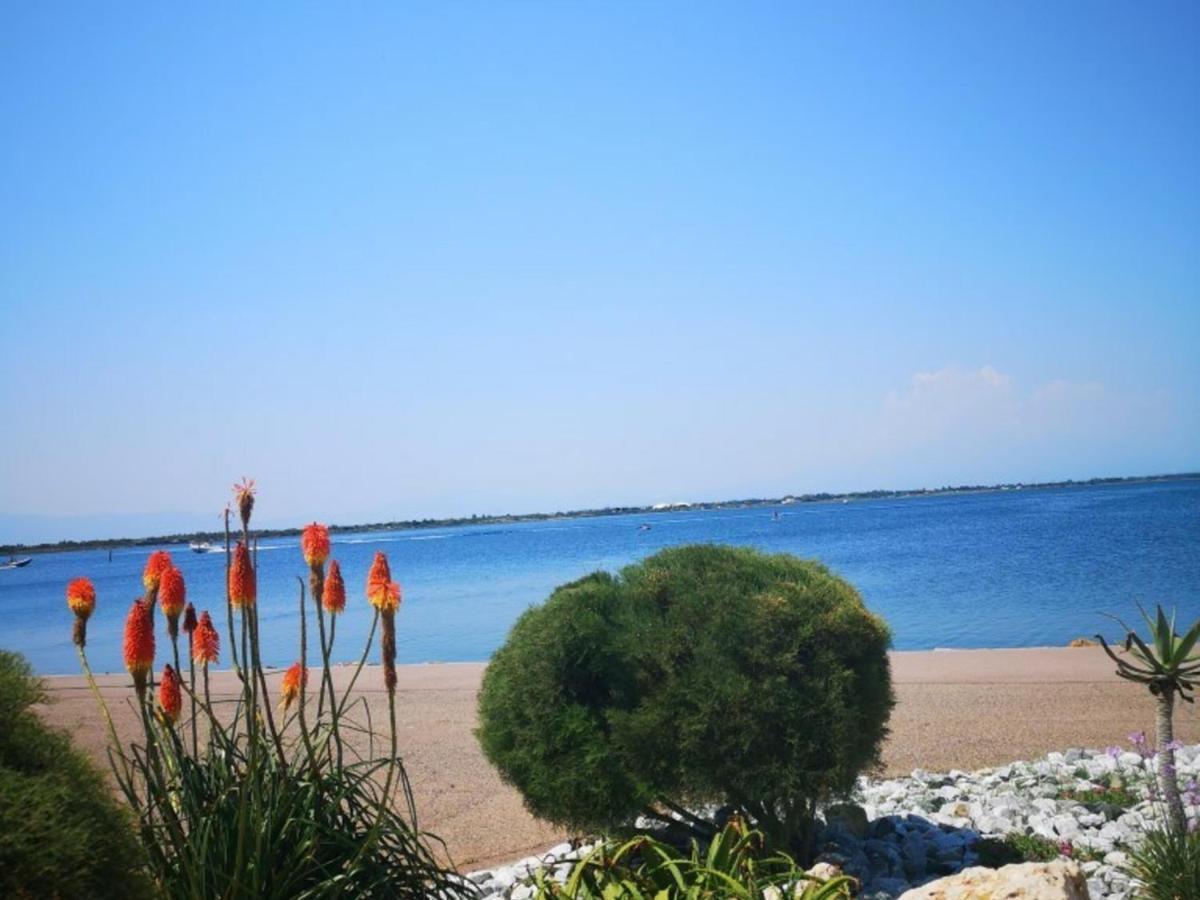 Appartement 4 Pers - Le Barcares - Piscine, Parkings, Terrains De Sport, Fitness - Fr-1-195-25 Exteriör bild